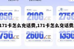 171卡怎么充话费,171卡怎么交话费。
